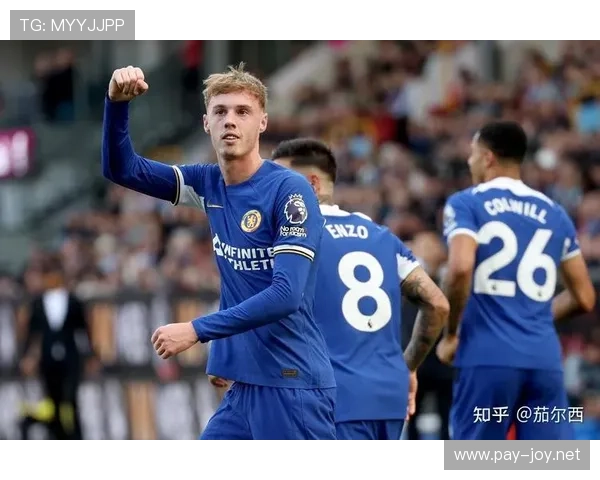 帕尔默大赛表现稳定性如何体现